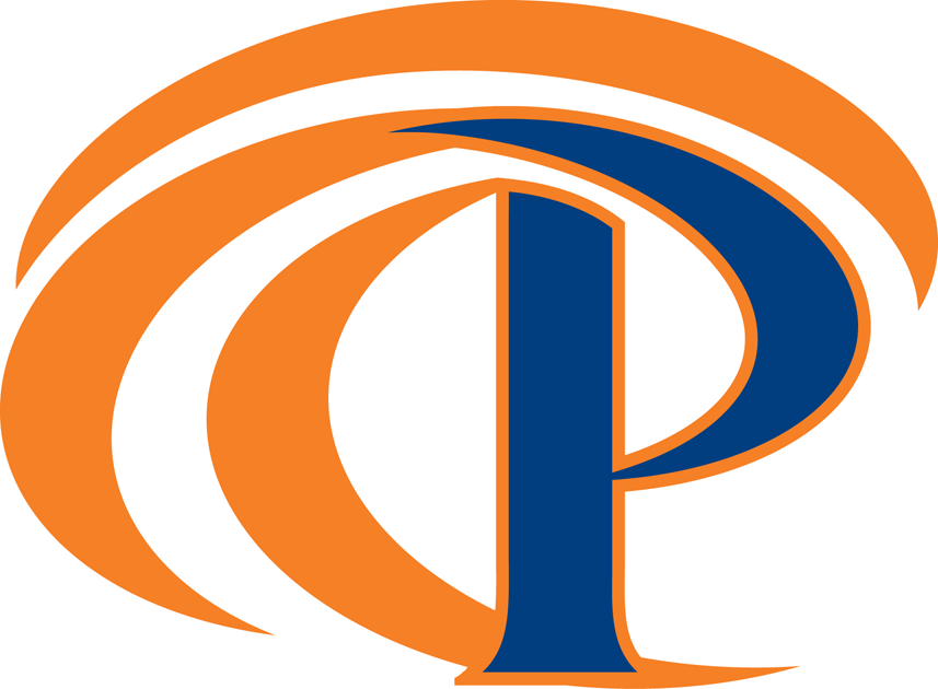 Pepperdine Waves 2011-Pres Secondary Logo diy iron on heat transfer